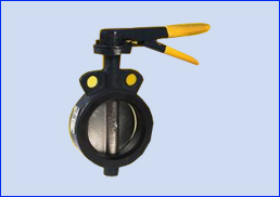 Butterfly Valve